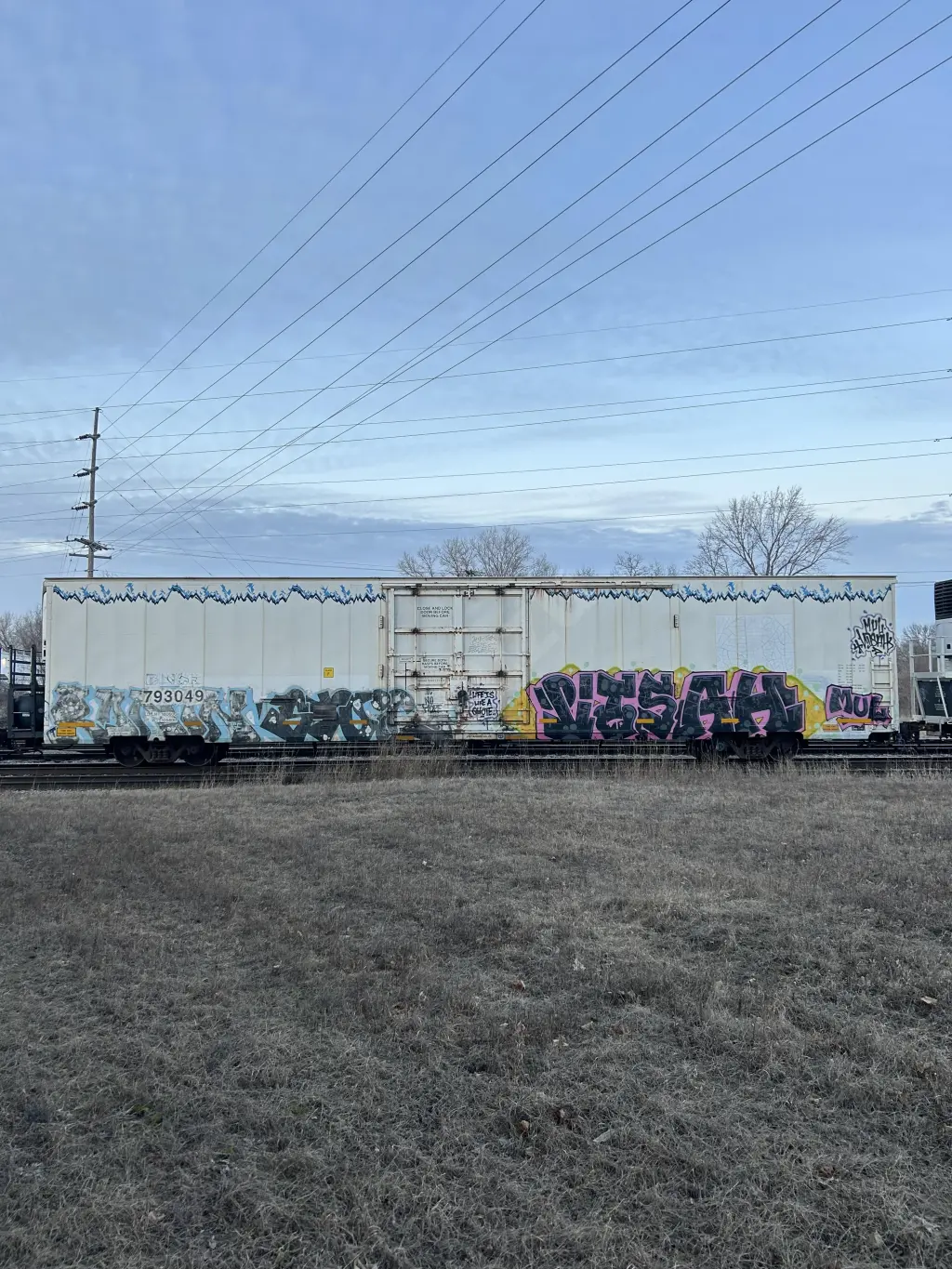 TILX793049 - NORTH-AMERICA