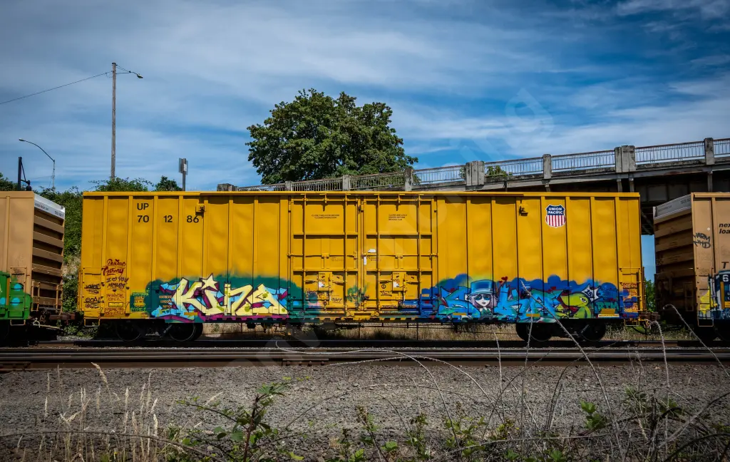 UP701286 - NORTH-AMERICA