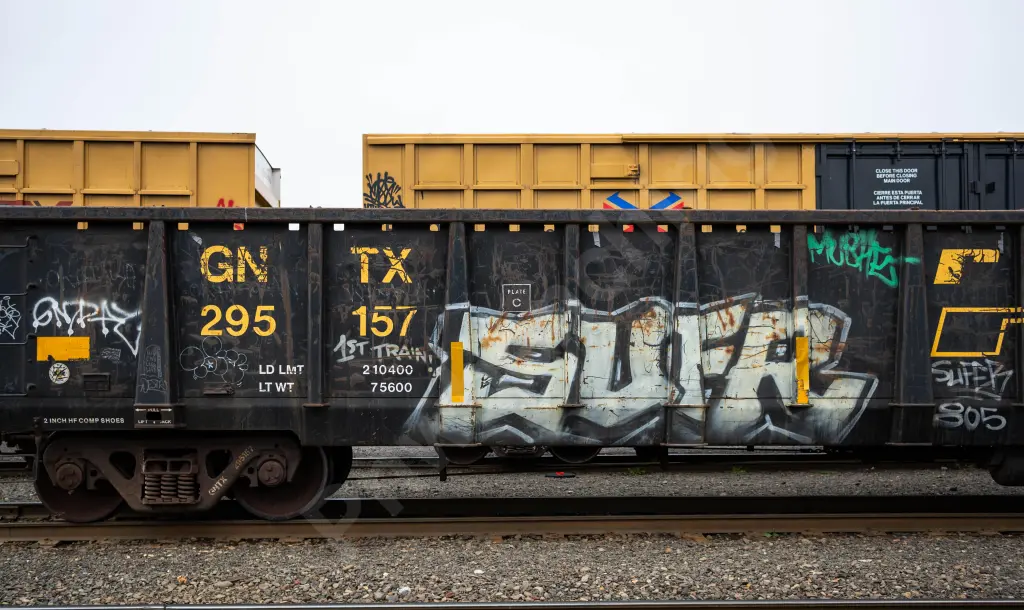 GNTX295157 - NORTH-AMERICA