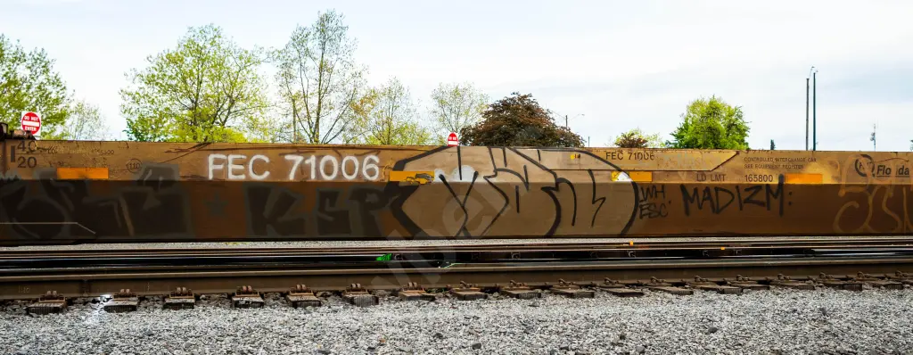 FEC71006 - NORTH-AMERICA