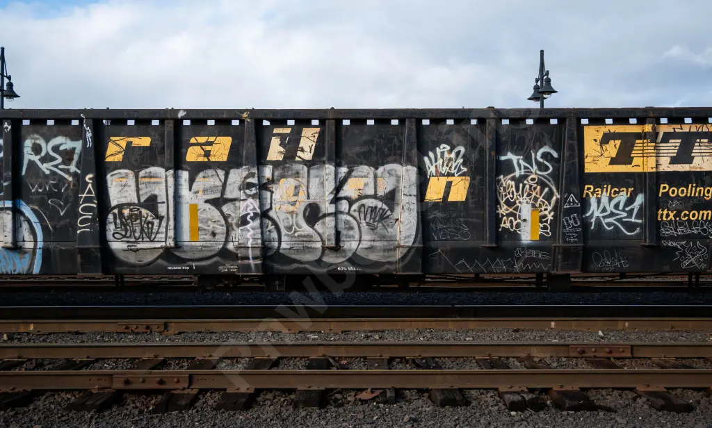 GNTX295116 - NORTH-AMERICA