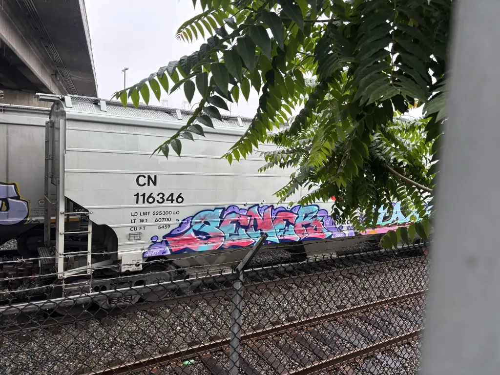 CN116346 - NORTH-AMERICA