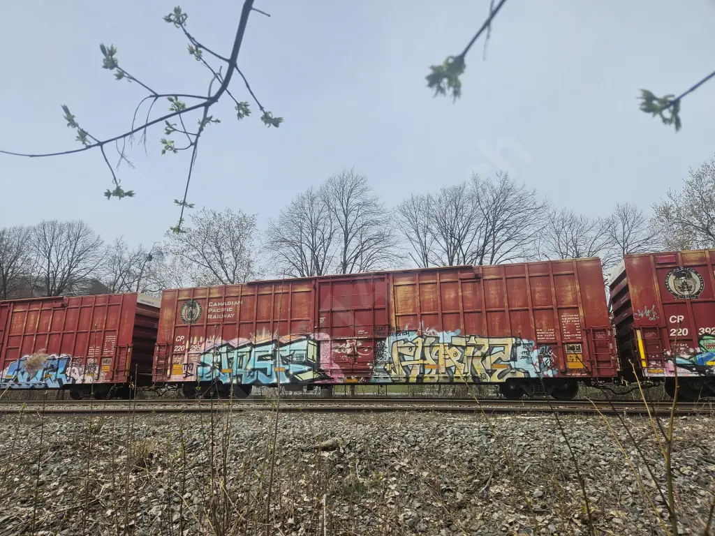 CP220295 - NORTH-AMERICA