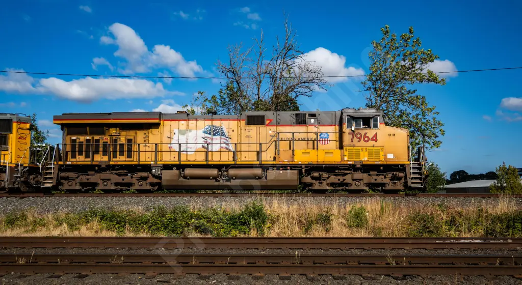UP7964 - NORTH-AMERICA