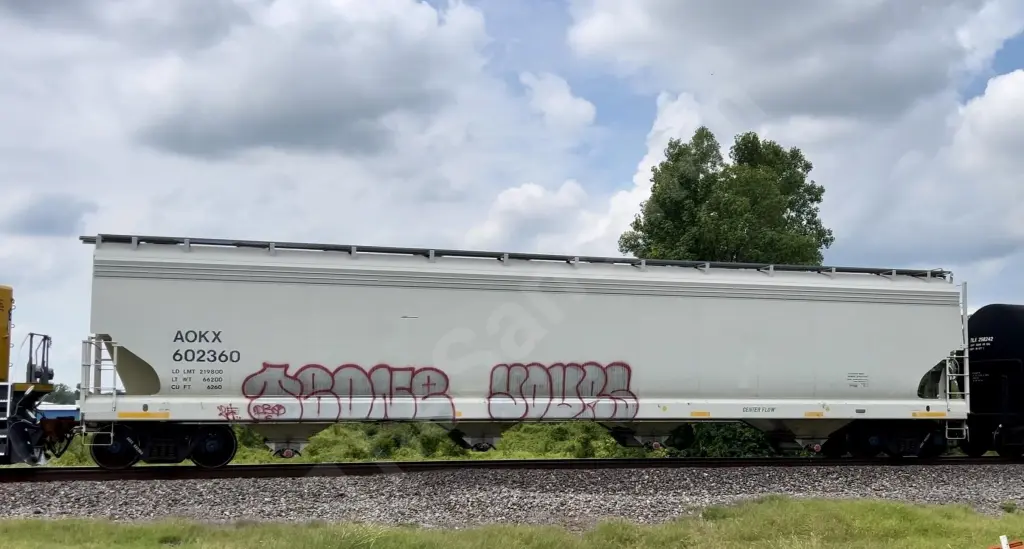 AOKX602360 - NORTH-AMERICA