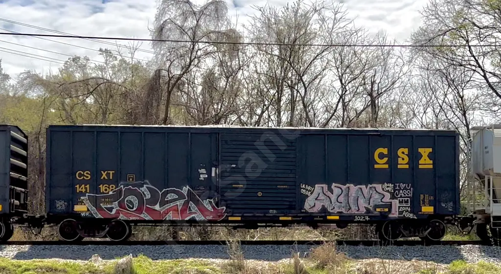 CSXT141168 - NORTH-AMERICA