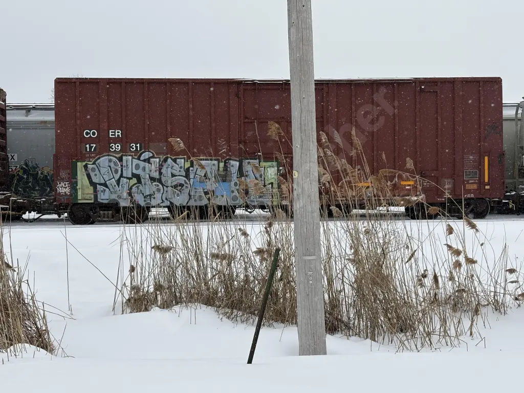 COER173931 - NORTH-AMERICA