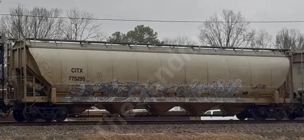 CITX775295 - NORTH-AMERICA