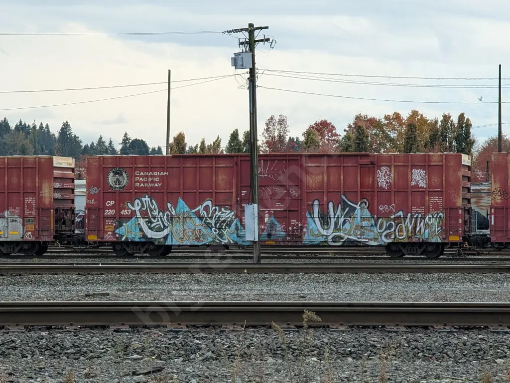 CP220453 - NORTH-AMERICA