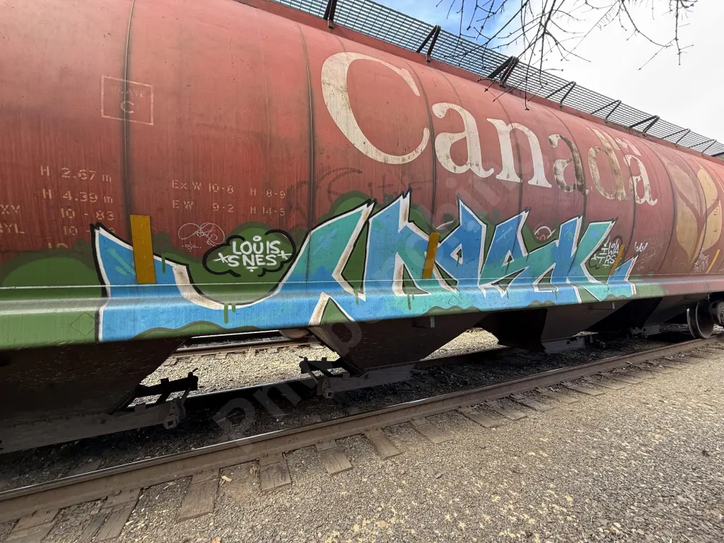 CN110176 - NORTH-AMERICA