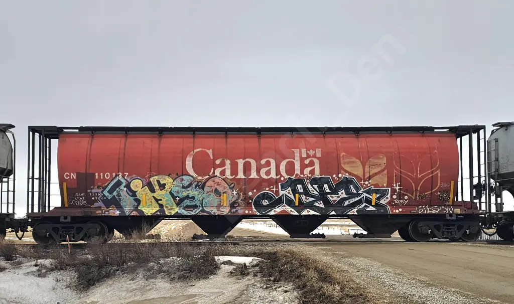 CN110137 - NORTH-AMERICA