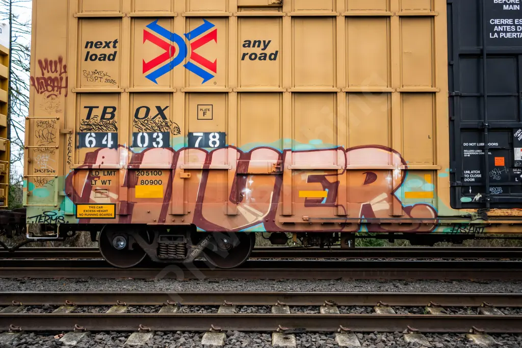Train photo