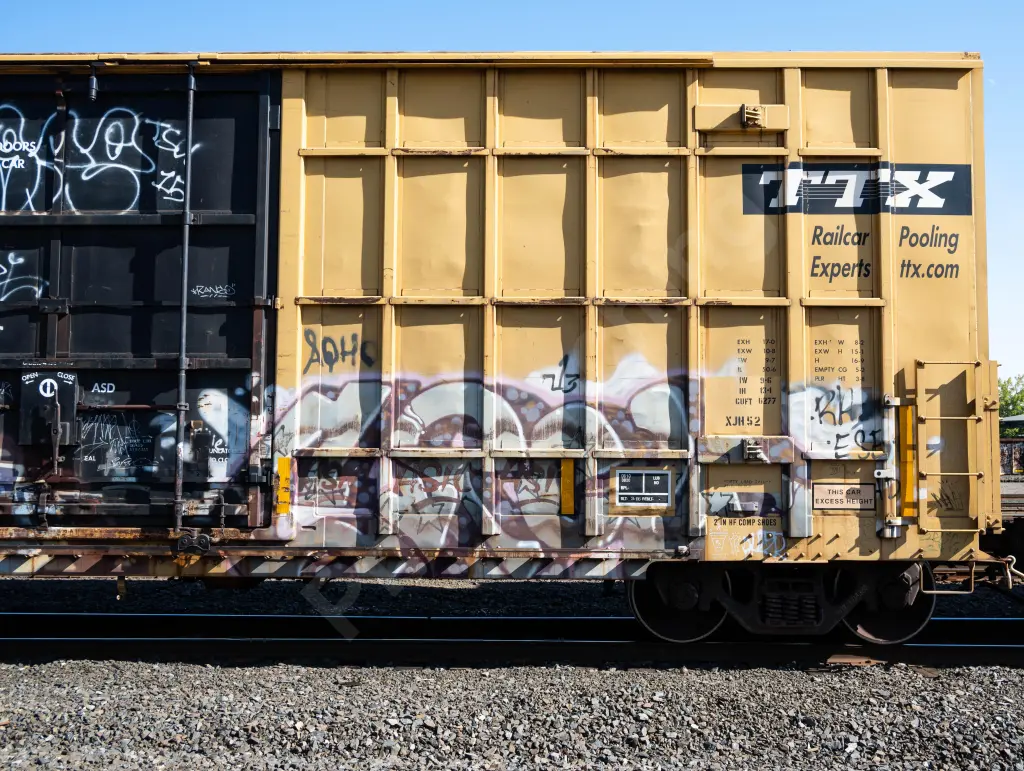 FBOX504399 - NORTH-AMERICA