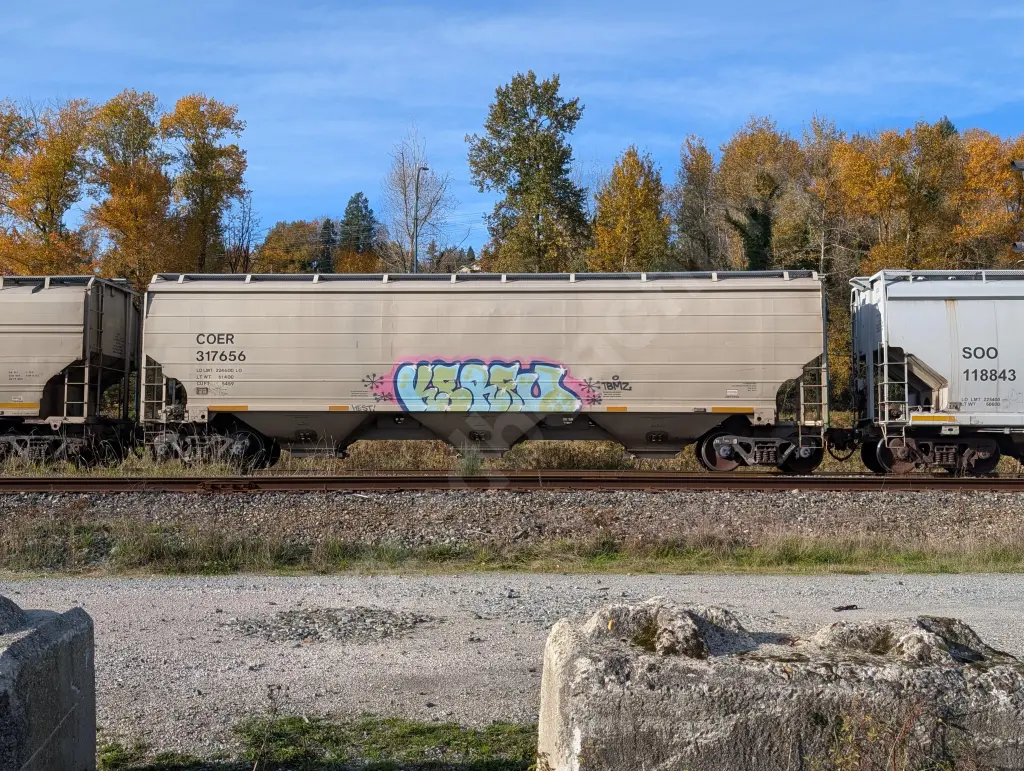 COER317656 - NORTH-AMERICA