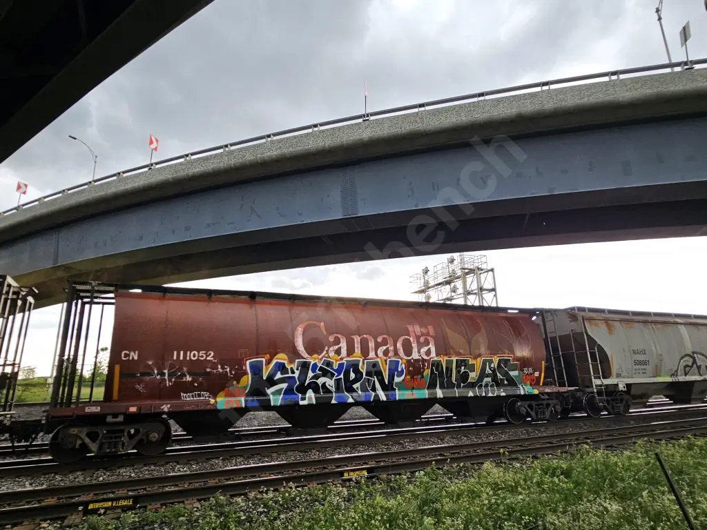 CN111052 - NORTH-AMERICA