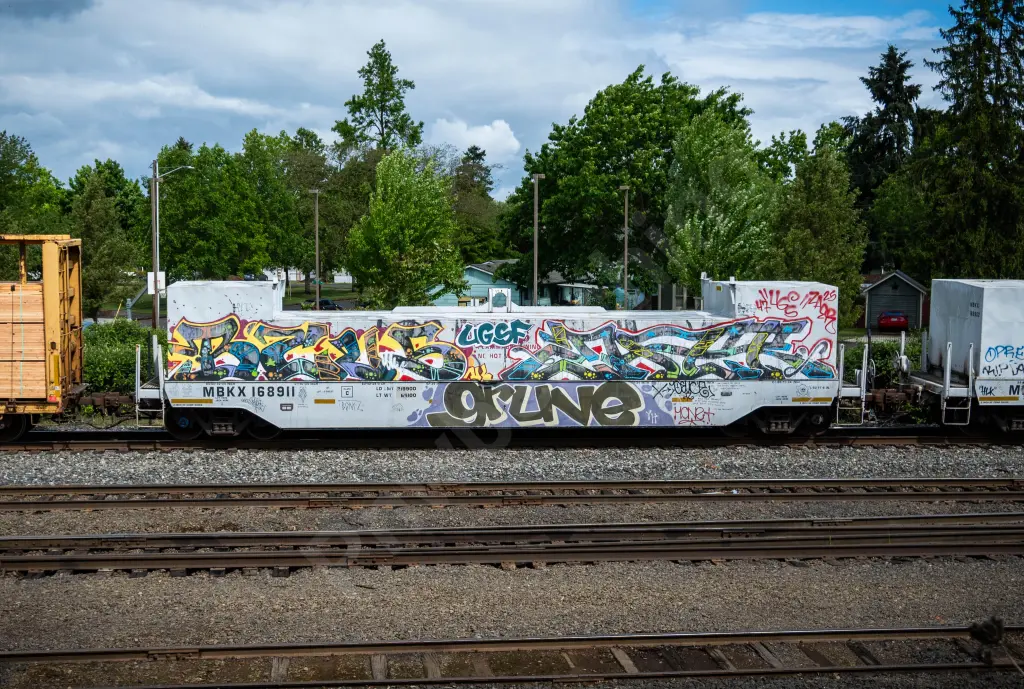 MBKX168911 - NORTH-AMERICA