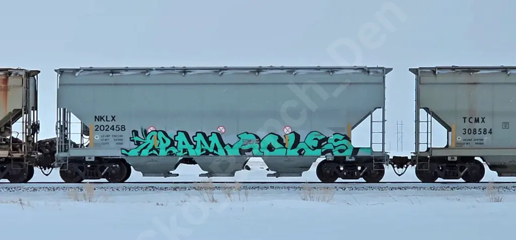 NKLX202458 - NORTH-AMERICA