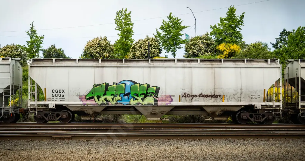 CGOX5005 - NORTH-AMERICA