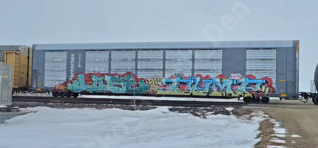 TTGX524957 - NORTH-AMERICA
