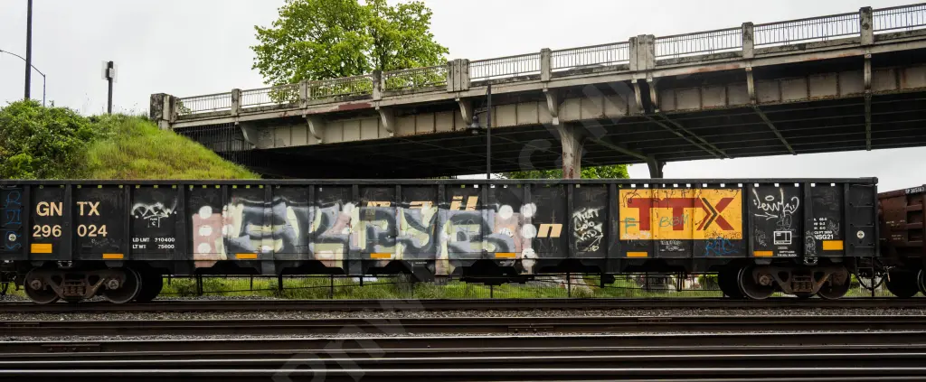 GNTX296024 - NORTH-AMERICA