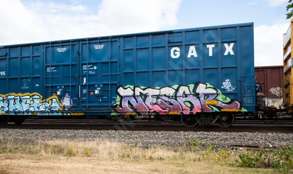 BKTY157895 - NORTH-AMERICA