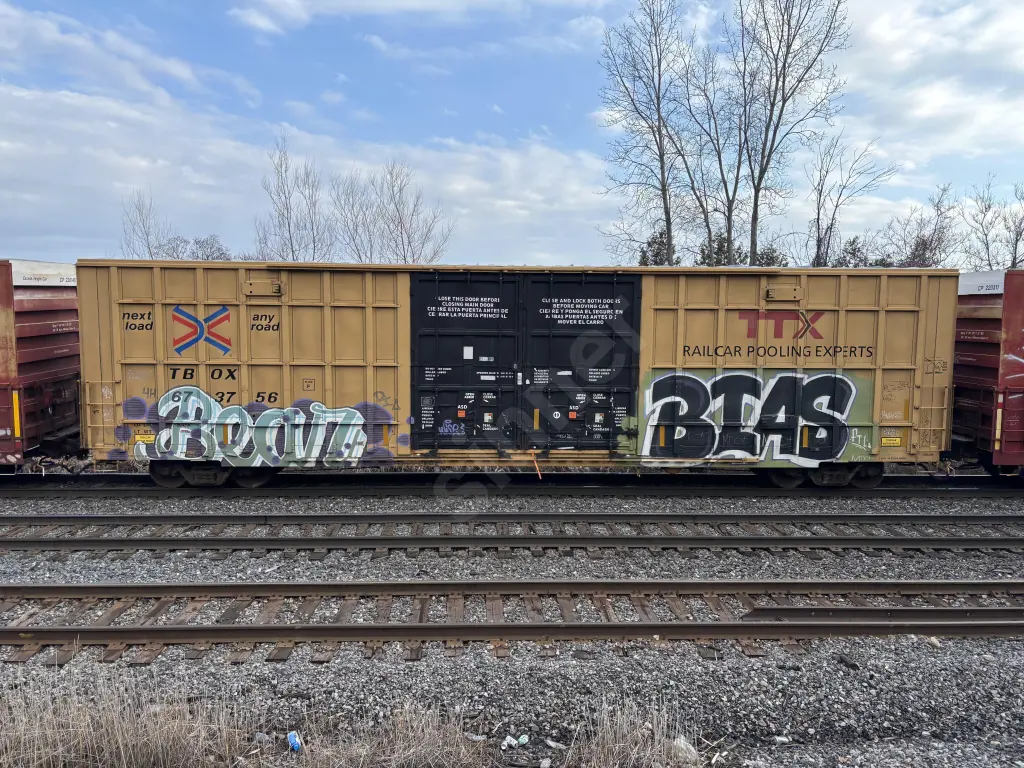 TBOX673756 - NORTH-AMERICA