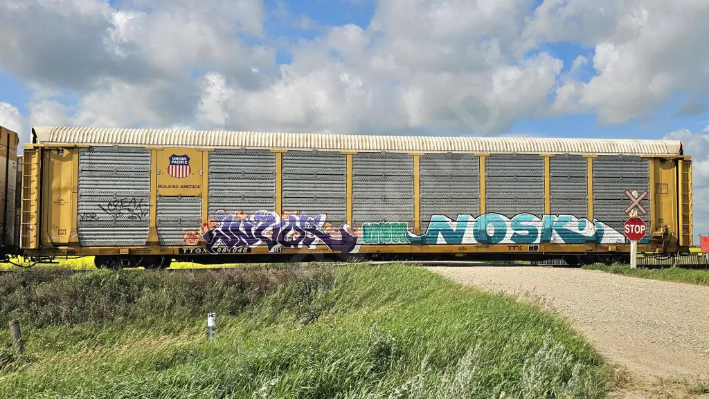 TTGX981046 - NORTH-AMERICA