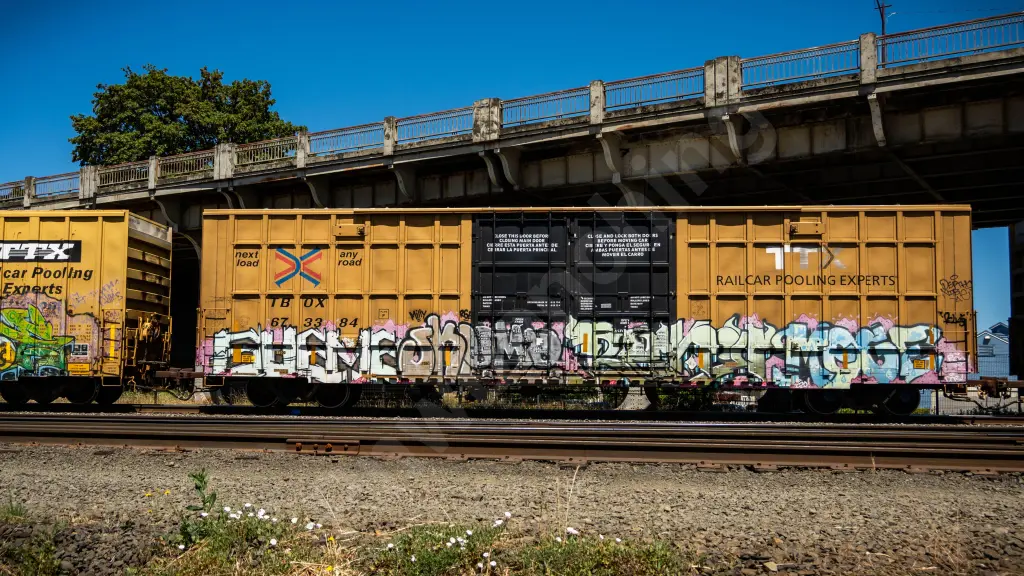 TBOX673384 - NORTH-AMERICA