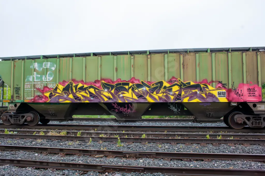 BN467465 - NORTH-AMERICA