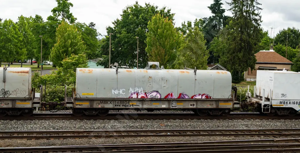 MBKX168804 - NORTH-AMERICA