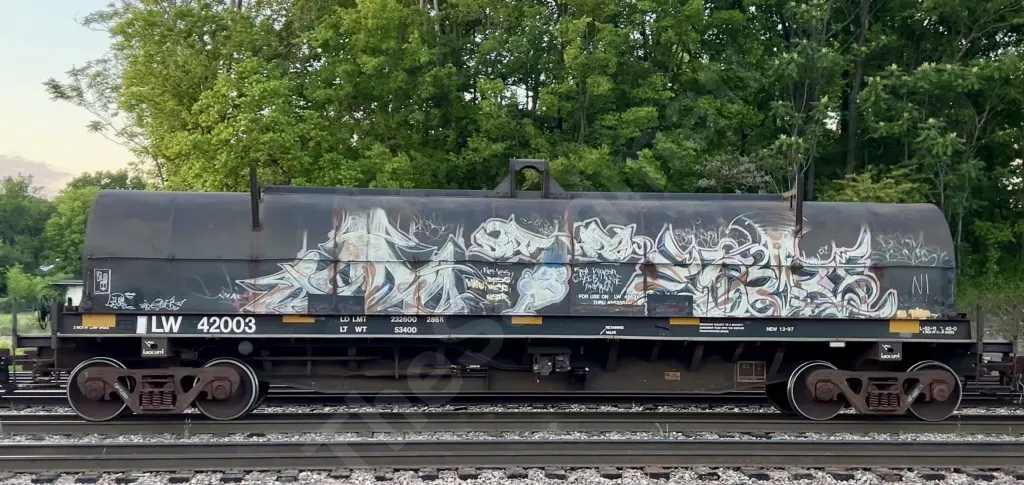 LW42003 - NORTH-AMERICA
