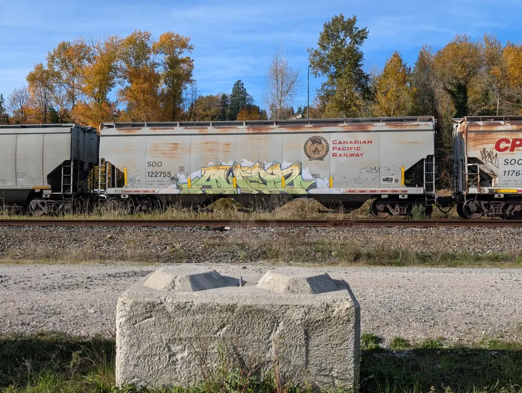 SOO122755 - NORTH-AMERICA