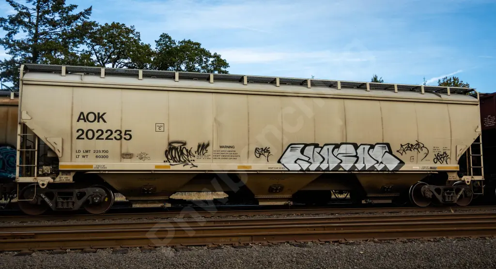 AOK202235 - NORTH-AMERICA