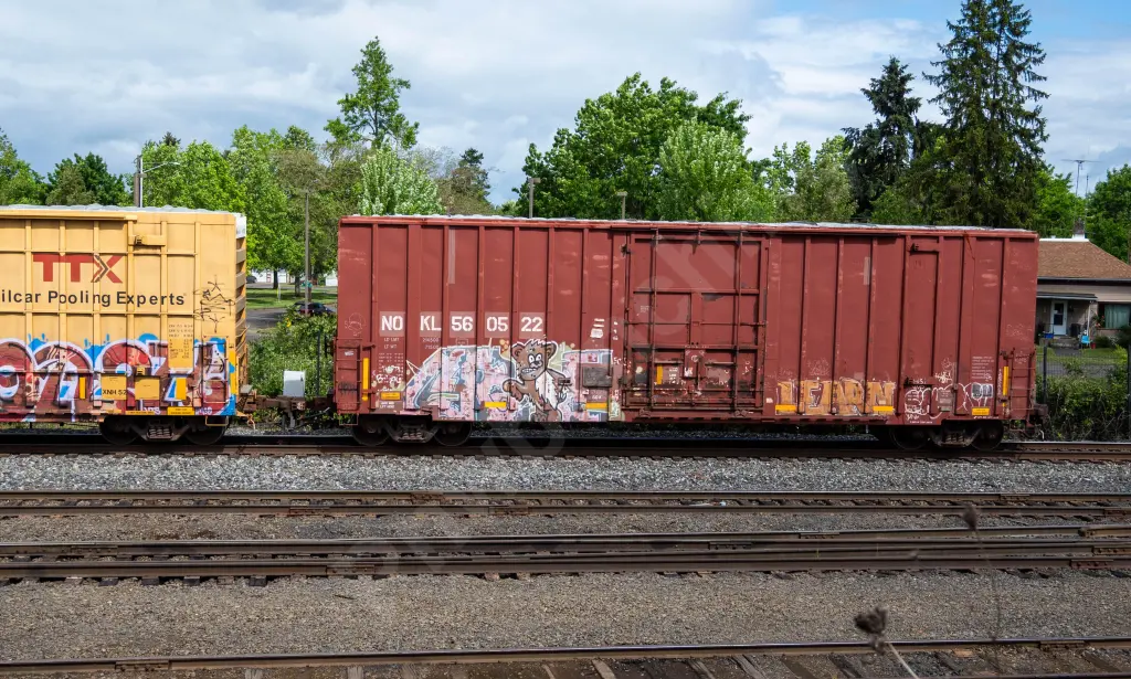 NOKL560522 - NORTH-AMERICA