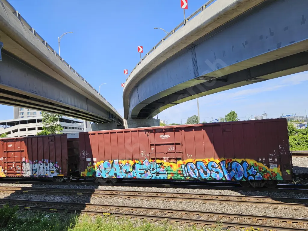 TR110038 - NORTH-AMERICA