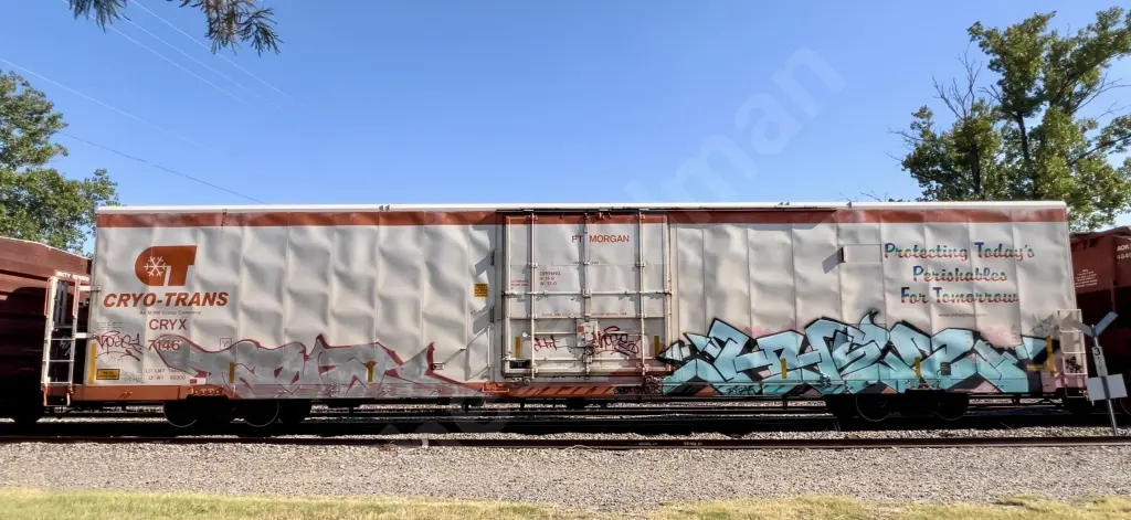 CRYX7146 - NORTH-AMERICA