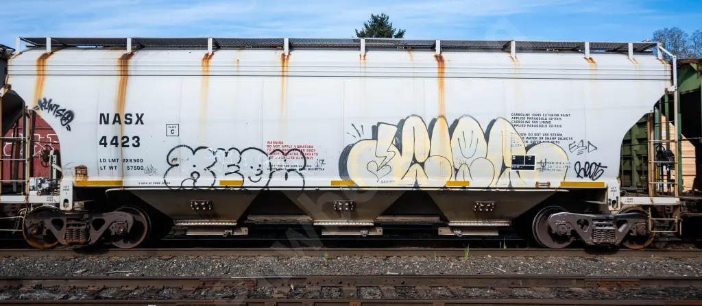 NASX4423 - NORTH-AMERICA