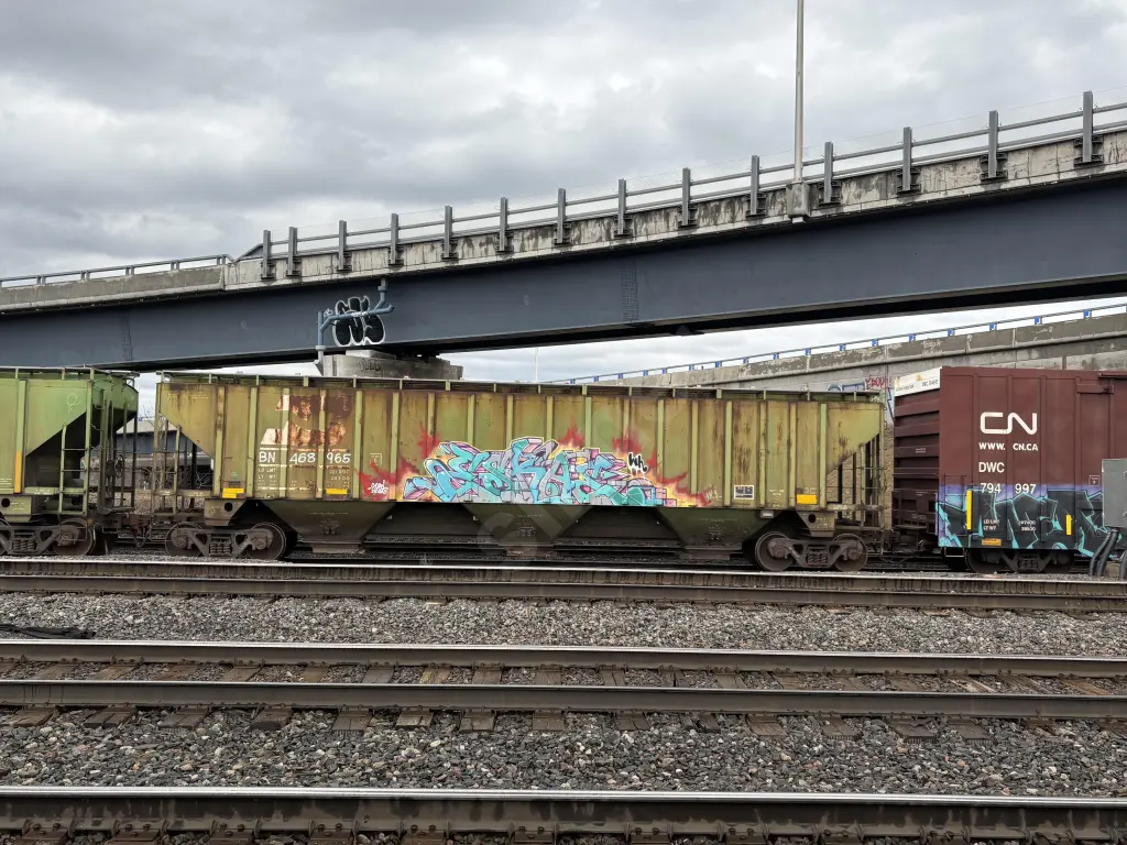 BN468965 - NORTH-AMERICA