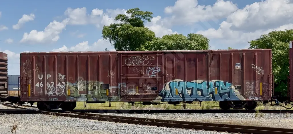UP466243 - NORTH-AMERICA