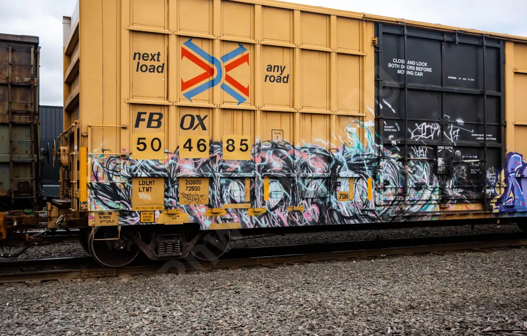 FBOX504685 - NORTH-AMERICA