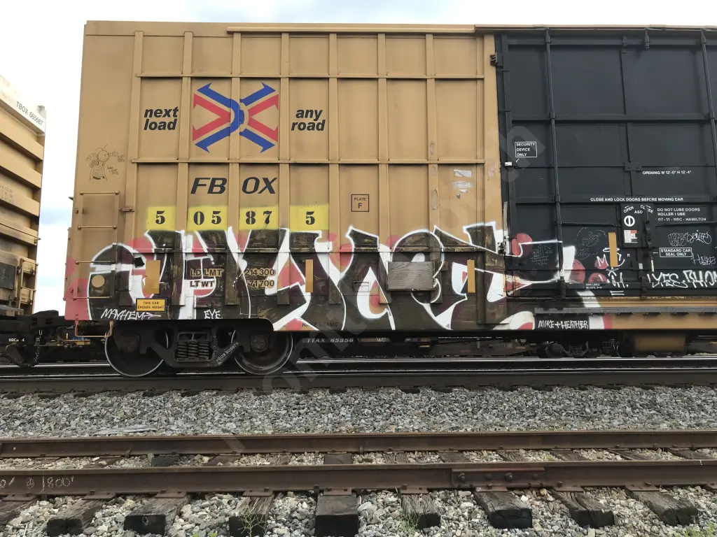 FBOX505875 - NORTH-AMERICA