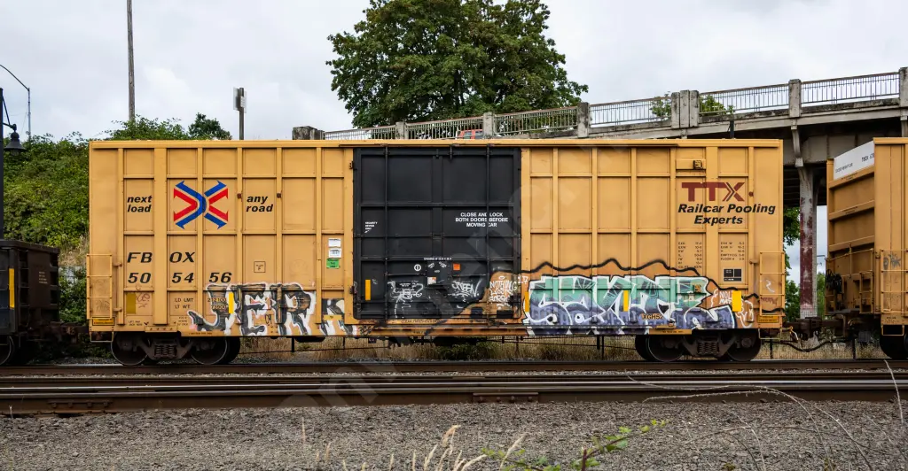 FBOX505456 - NORTH-AMERICA