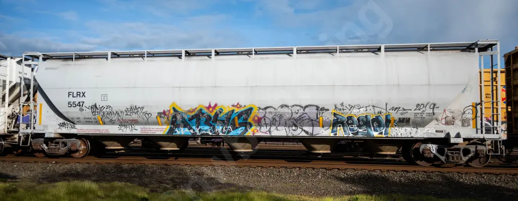 FLRX5547 - NORTH-AMERICA