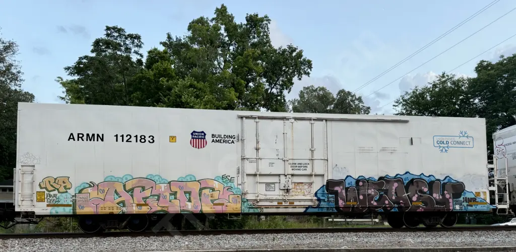 ARMN11283 - NORTH-AMERICA