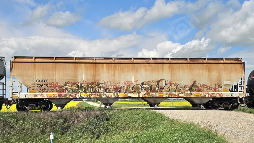 CCBX72625 - NORTH-AMERICA