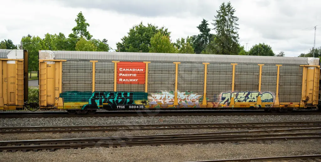 TTGX988435 - NORTH-AMERICA
