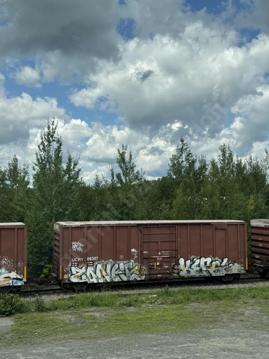 UCRY86307 - NORTH-AMERICA