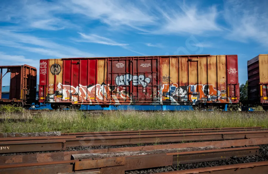 CP218303 - NORTH-AMERICA