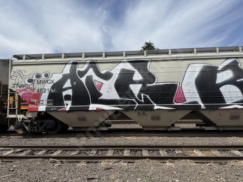 MWCX482124 - NORTH-AMERICA