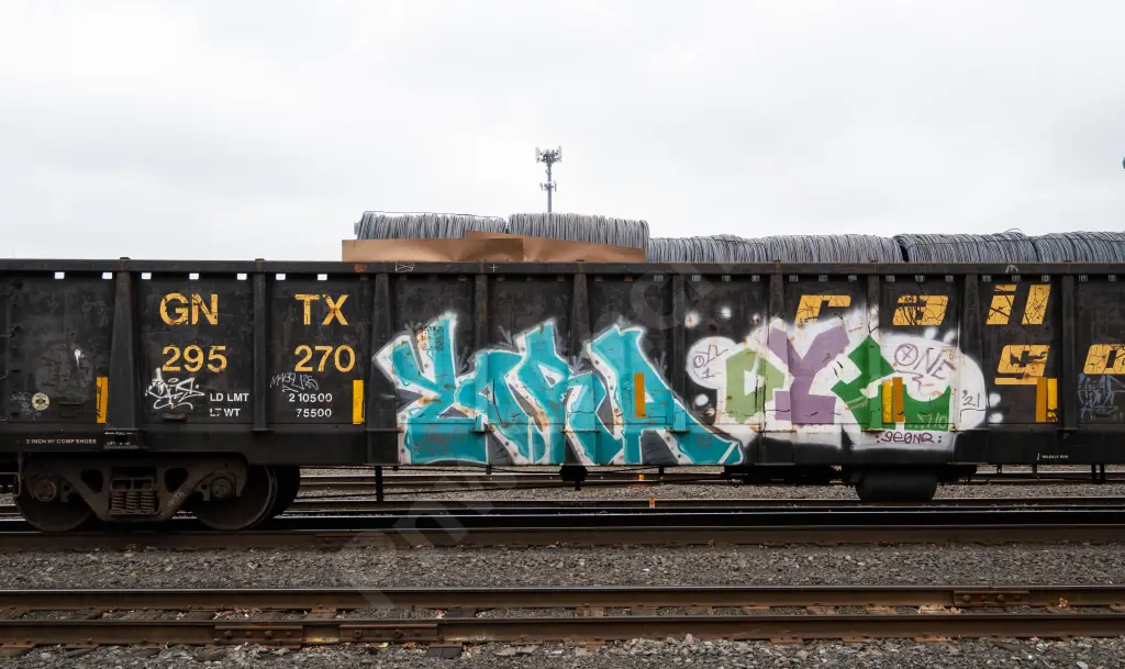 GNTX295270 - NORTH-AMERICA